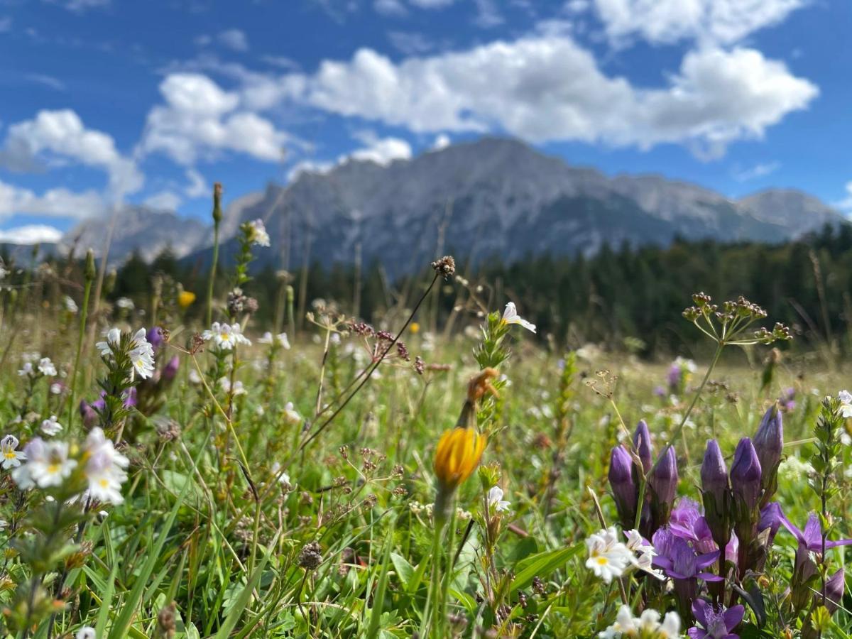 Suite Home Mittenwald Buitenkant foto